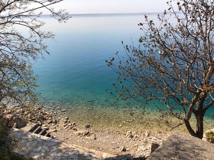 Apartment Lisarica Starigrad Paklenica Buitenkant foto